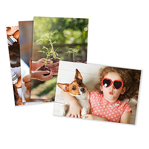 Glossy Standard Size Photo Prints