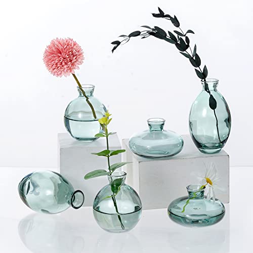 Green Bud Vases for Flowers - Modern, Elegant, and Versatile