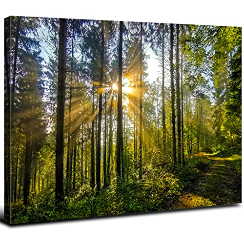 Green Nature Wall Art - Forest Scenery Canvas Pictures