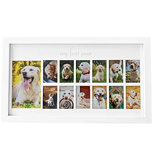 Green Pollywog's First Year Picture Frame for Dogs