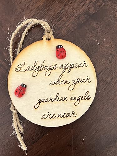Guardian Angel Ladybug Grief and Healing Ornament