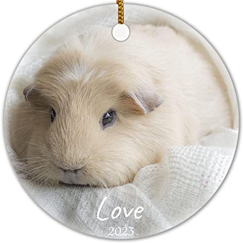 Guinea Pig Ornament Personalized Photo Cute Animal Memorial Ceramic Ornament Round Novelty House Present Keepsake for Holidays, Party, Car, Home, Office, Guinea Pig Lovers