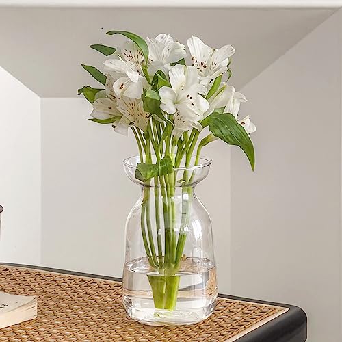 Gute Glass Vases for Decor - Versatile and Stylish Home Decoration