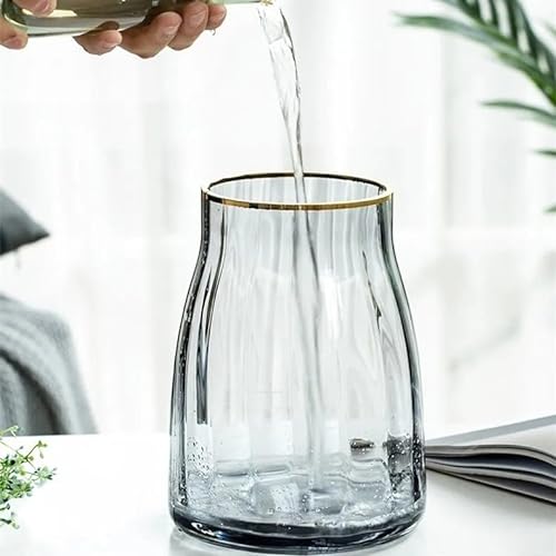 H:7.2" Wide Mouth Gold Edge Table Book Vases Smoke Gray Clear Round Glass Vases for Home Living Room Desk Decor Flower Cylinder Wide Mouth Vase for Centerpieces Clear Bud Sphere Chunky Vase