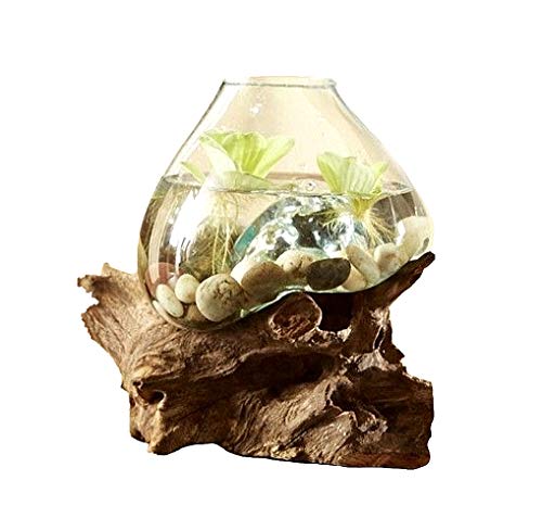 Hand Blown Molten Glass & Teak Wood Terrarium/ Vase/ Fish Bowl - Premium Quality (10" - 12" High)