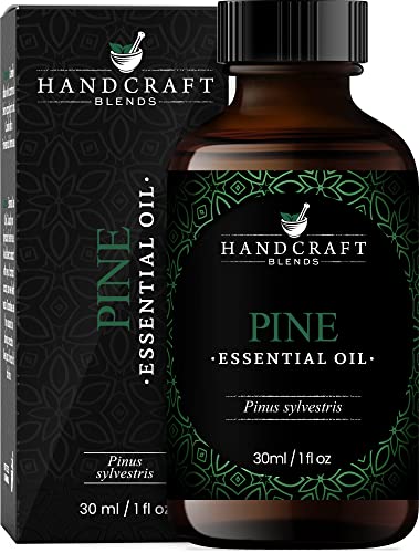 Handcraft Pine Essential Oil - 100% Pure and Natural - Premium Therapeutic Grade Essential Oil for Diffuser and Aromatherapy – 1 Fl Oz
