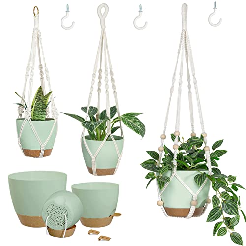 Hanging Planters with Self Watering Pots