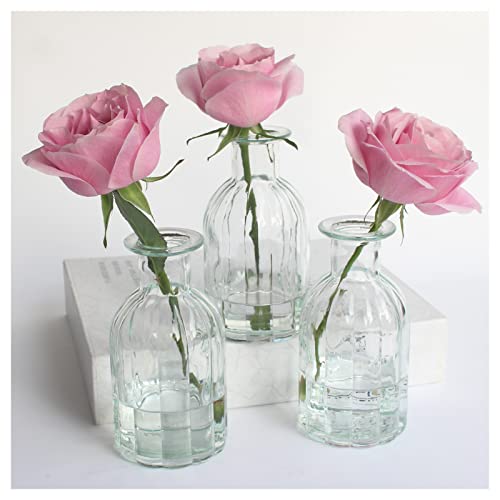 HANIHUA 3 Sets Clear Glass Vase for Flowers
