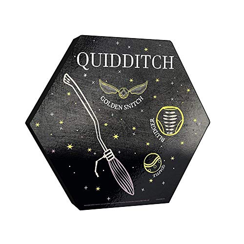 Harry Potter Quidditch Broom and Golden Snitch Wood Print