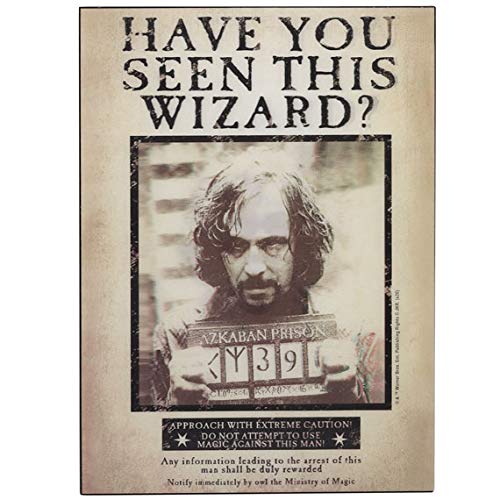 Harry Potter Sirius Wanted Poster 3D Wood Wall Decor