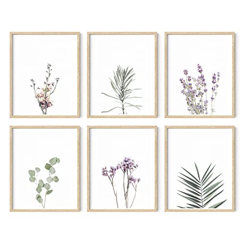 HAUS AND HUES Floral Prints and Plant Posters Set