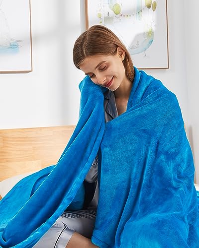 Heated Blanket Twin, 62" x 84" Reversible Flannel Warming Blanket