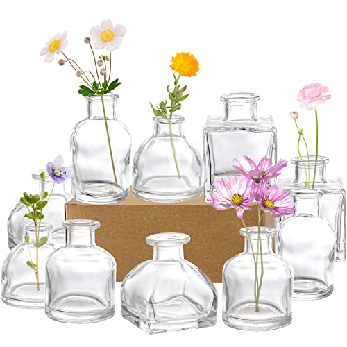 Hedume Set of 10 Small Glass Flower Vases