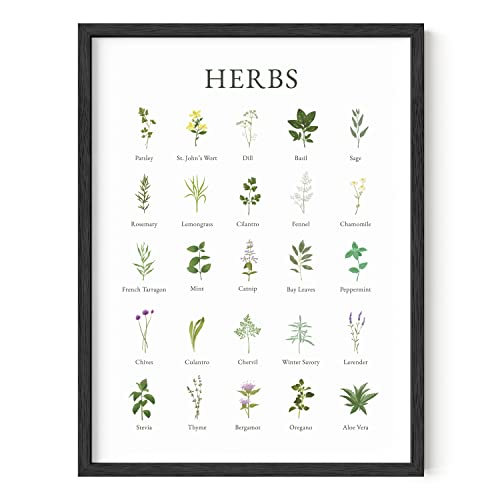 Herb Pictures for Kitchen Wall Art