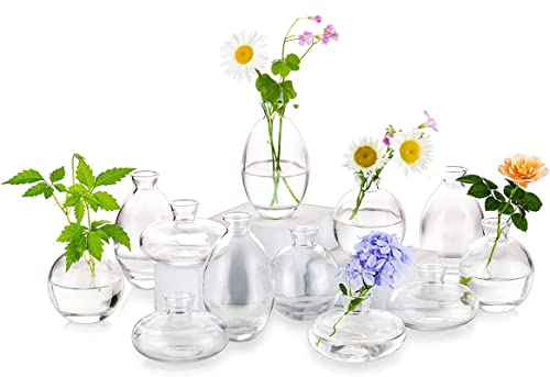Hewory Glass Bud Vases Set of 12 - Dainty and Sturdy Floral Arrangement Centerpieces