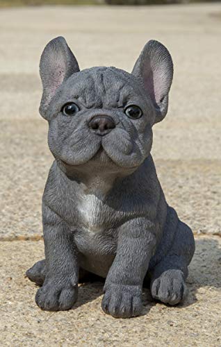 Hi-Line Gift French Bulldog Puppy Statue