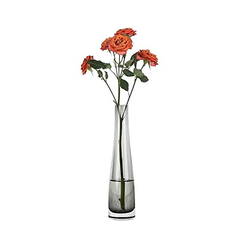 High Skinny Glass Vase