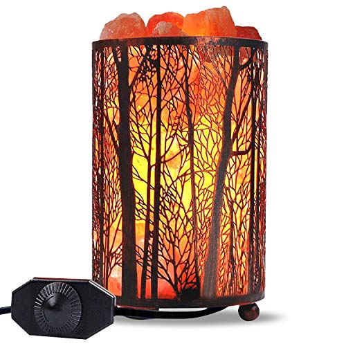 Himalayan Salt Lamp Forest Design Metal Basket with Dimmer Switch