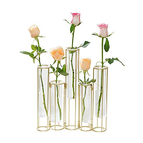 Hinged Flower Vases with Test Tubes