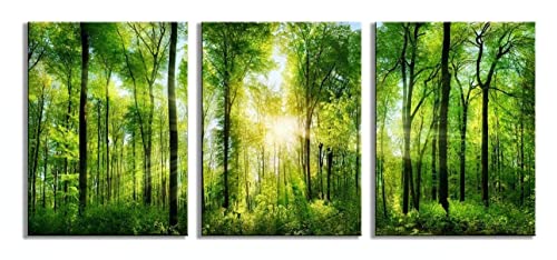 HLJ ART 3 Panels Morning Sunrise Green Trees Landscape Sunshine Over Forest Photograph Printed on Canvas for Home Wall Decoration