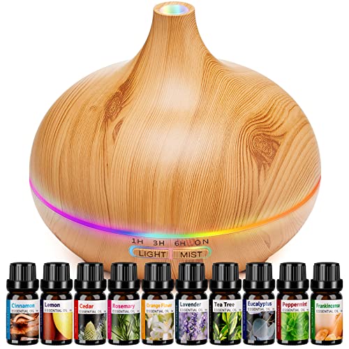 HLS Aroma Diffuser Set with 10 Essential Oils