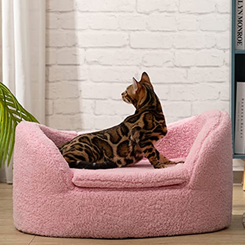 Hollypet Cat Sofa Couch