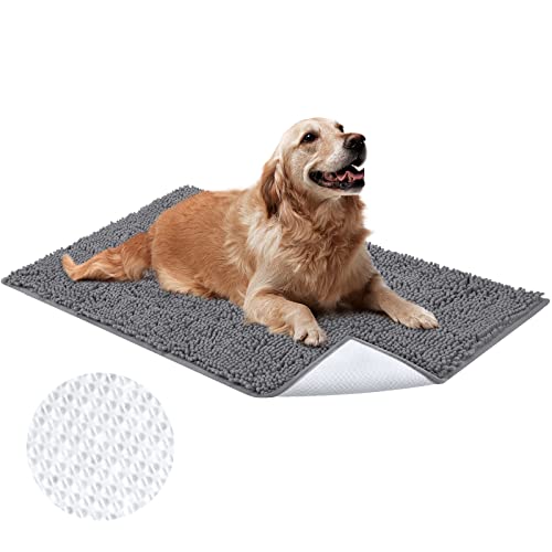 HOMEIDEAS Absorbent Dog Rug, Chenille Dog Mat for Paws, Non Slip Front Doormat Entry Rug, Soft Durable Pet Bed Mat for Crate, Machine Washable Indoor Door Rug for Entryway, Grey, 24"x36"