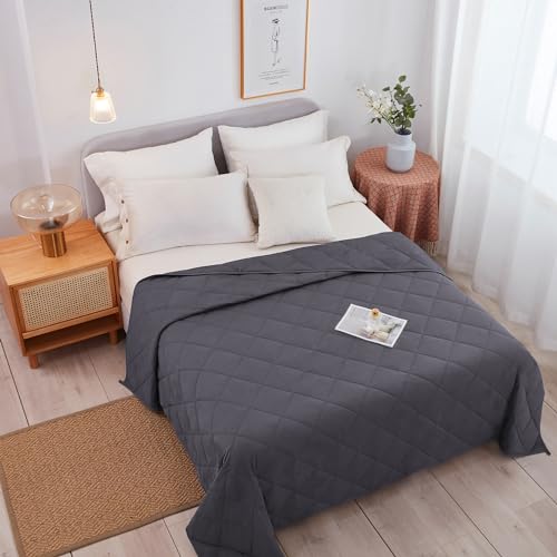 HomeSmart King Size Weighted Blanket