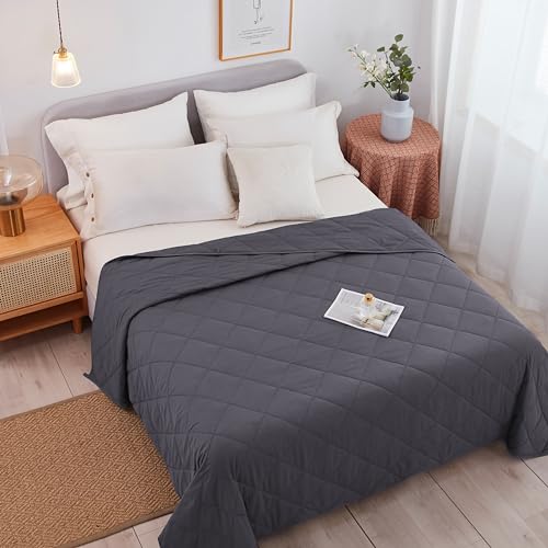 HomeSmart Weighted Blanket - King Size 50lbs