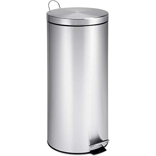 Honey-Can-Do Stainless Steel Step Trash Can