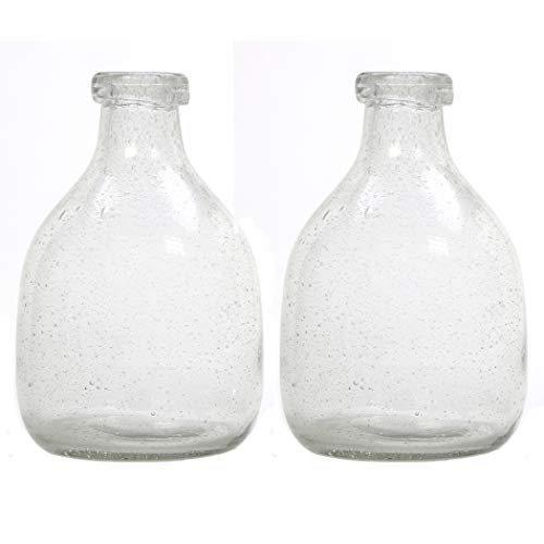 Hosley Clear Glass Bottle Vases