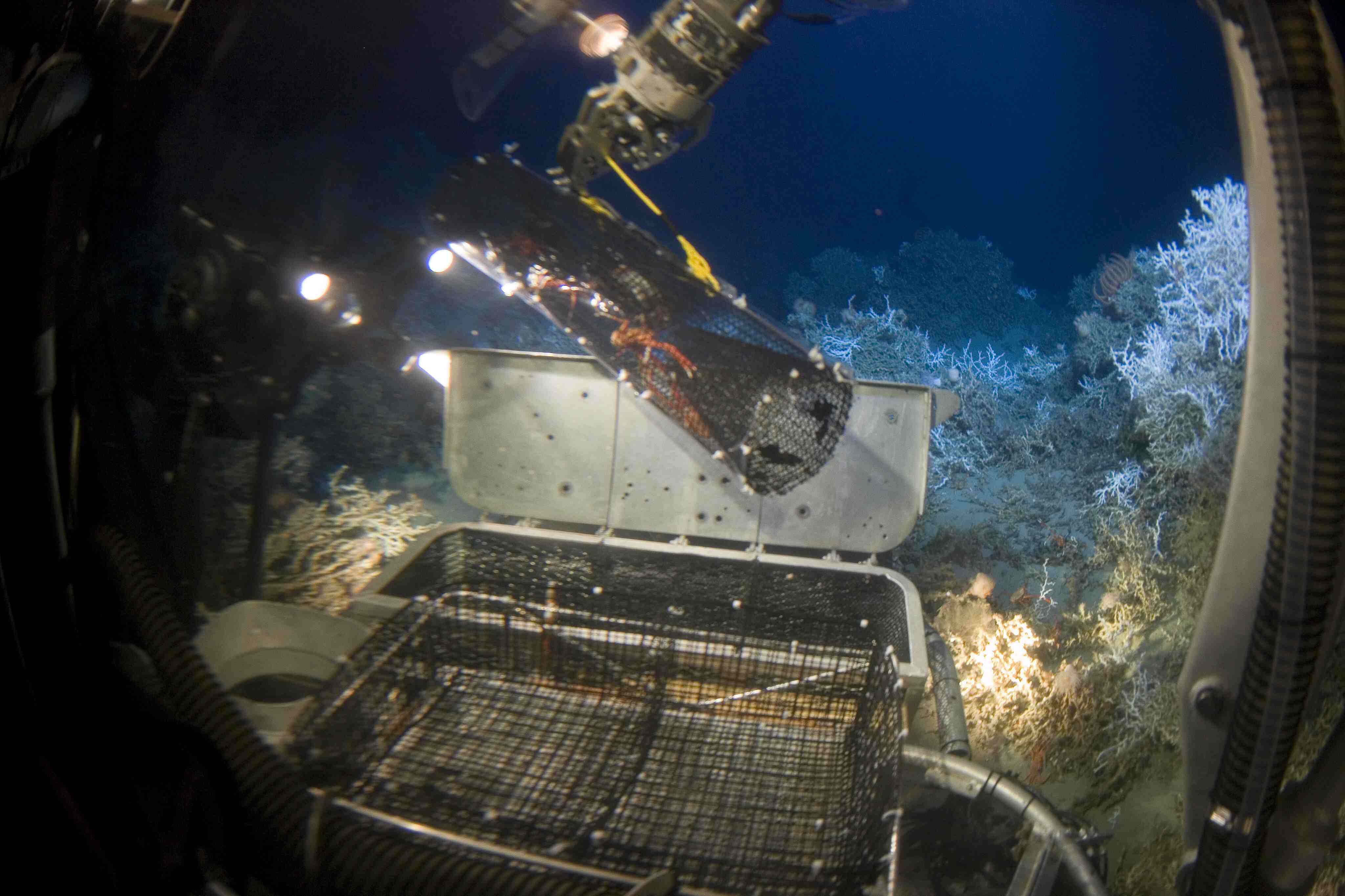 How Has Ocean Exploration Increased Scientific Understanding And Influenced Technology?