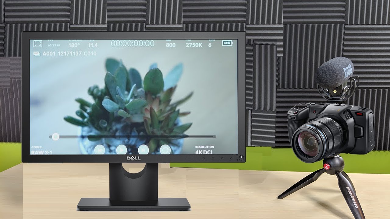 How To Connect A Camera To A Monitor
