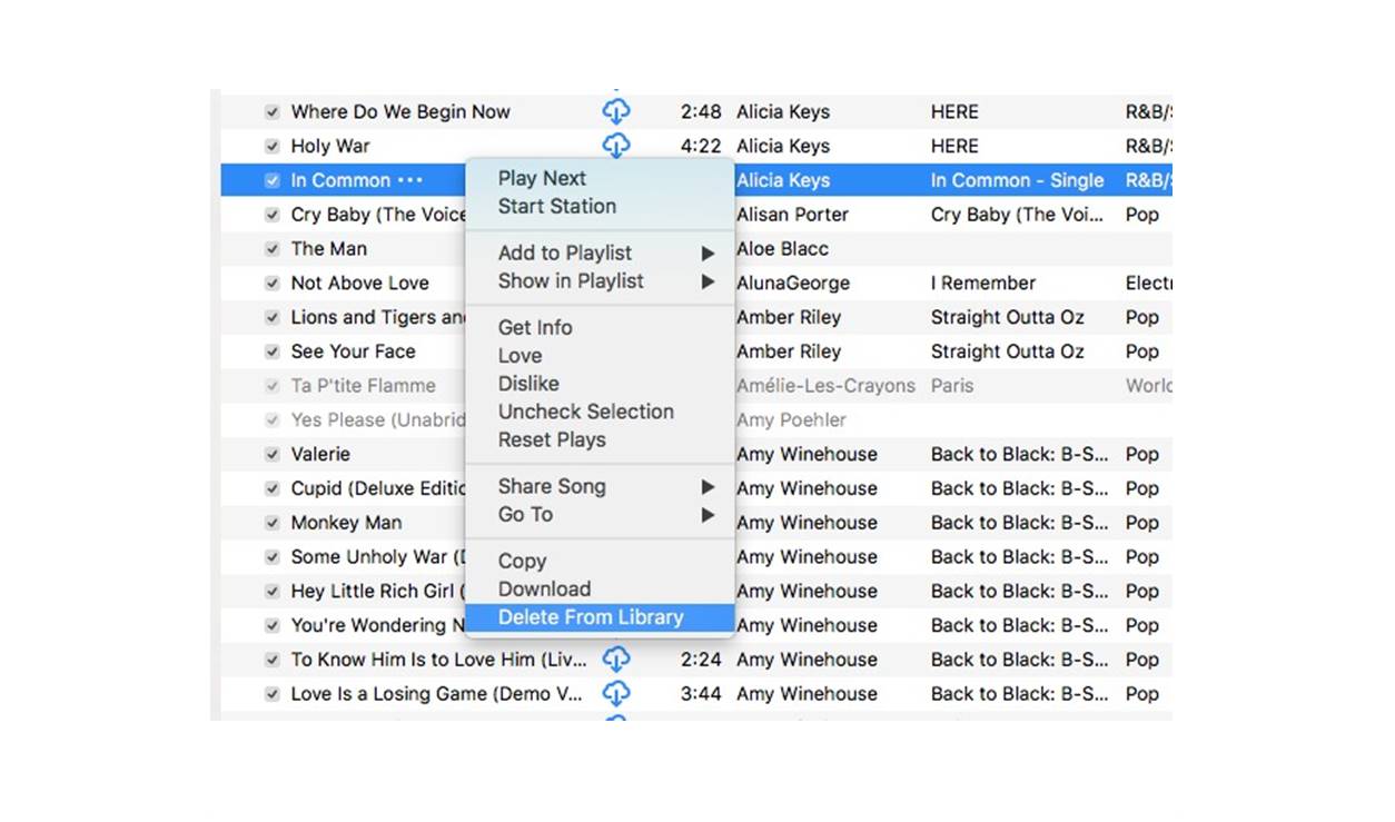 How To Delete Songs From ITunes