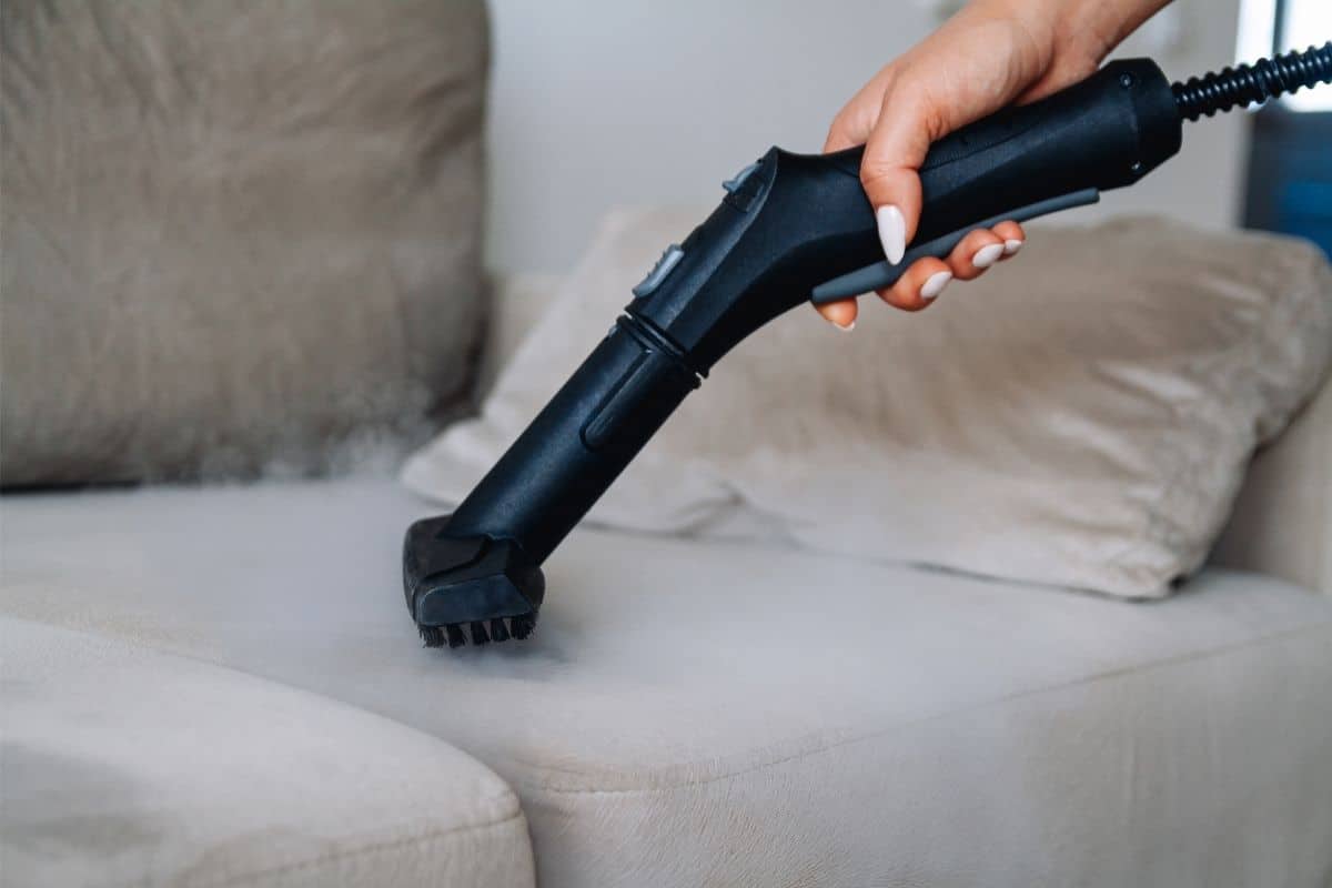 How To Get Odor Out Of Sofa