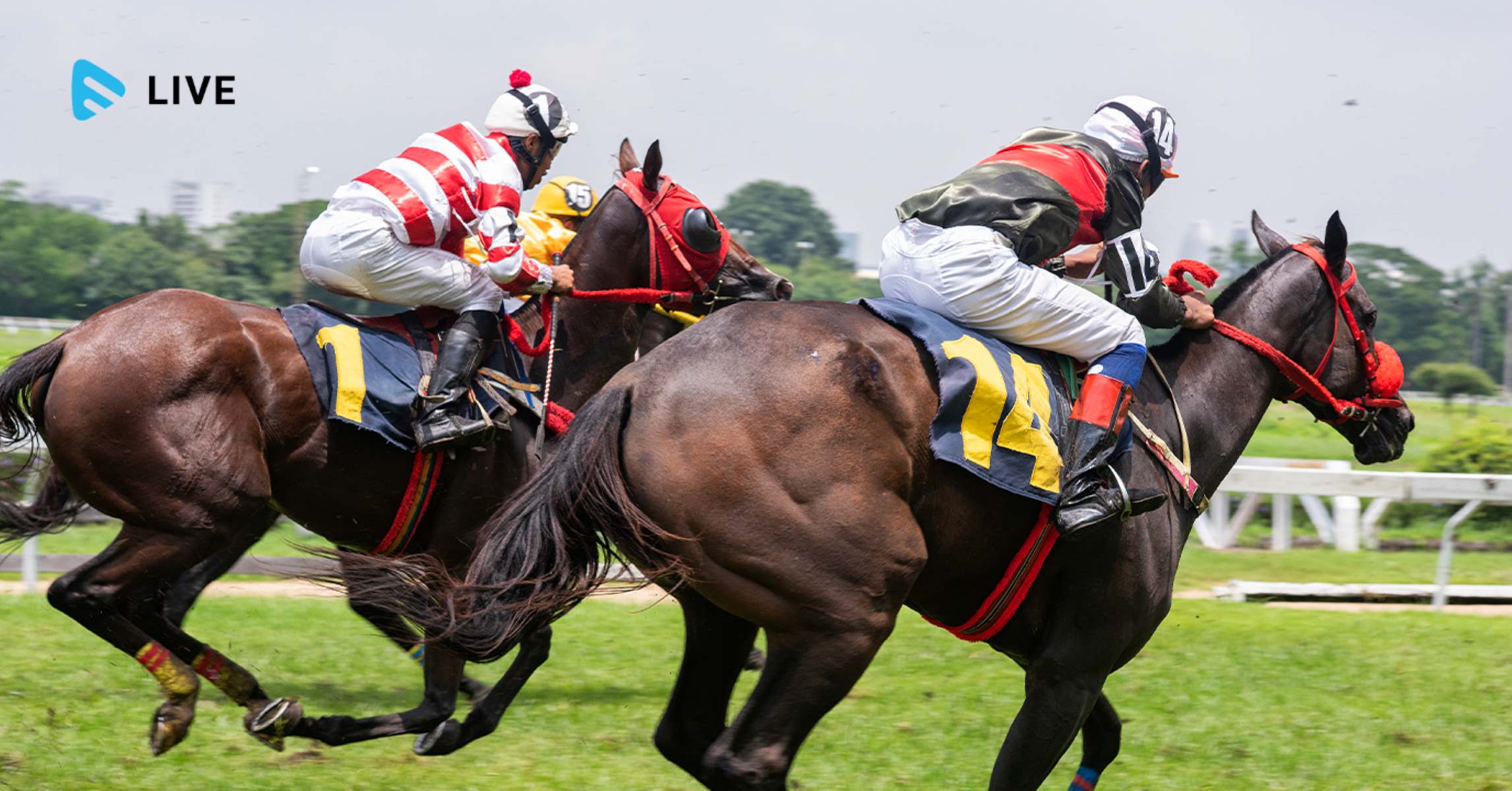 How To Watch Live Horse Racing