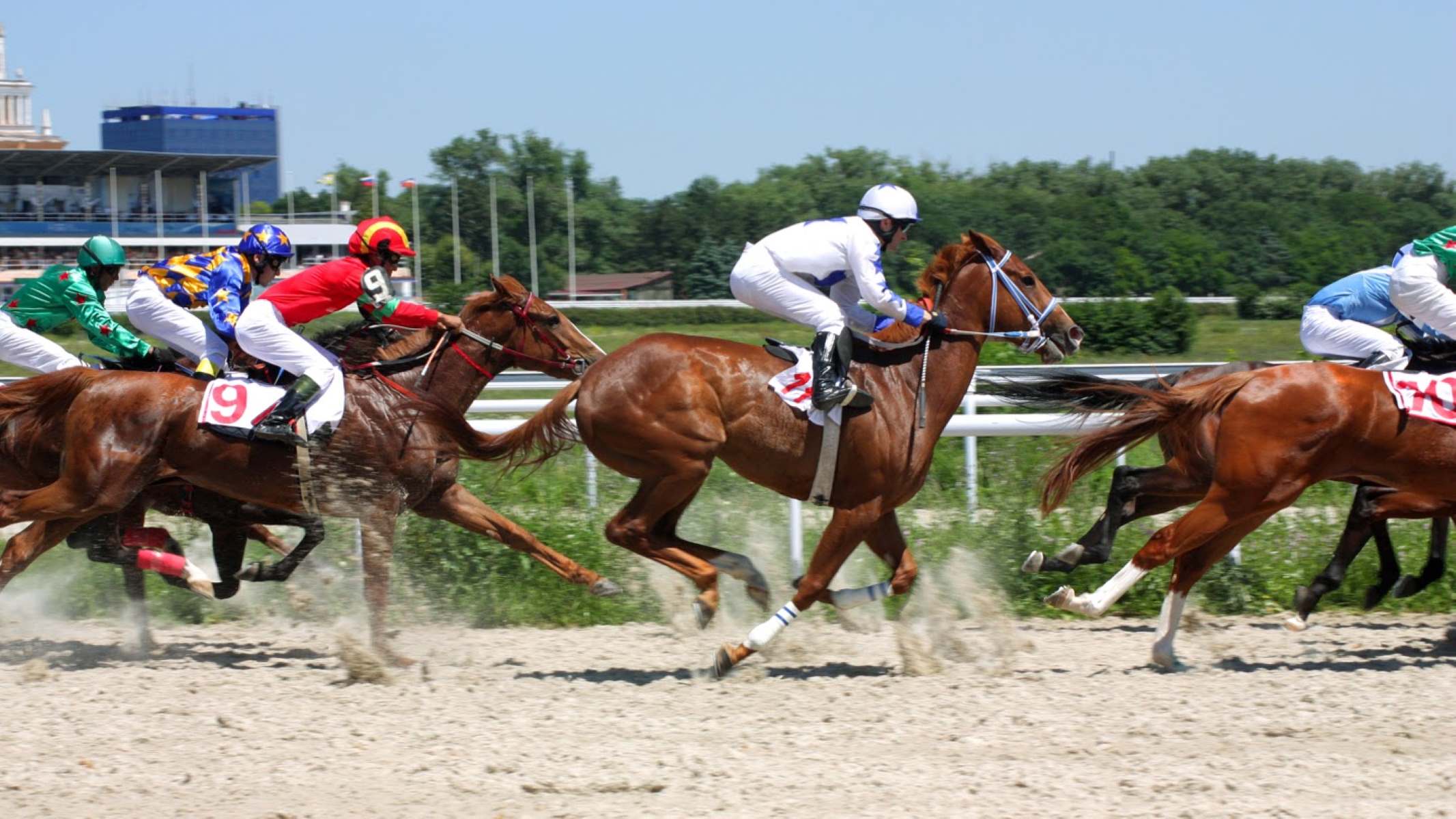 How To Watch Live Horse Racing Online