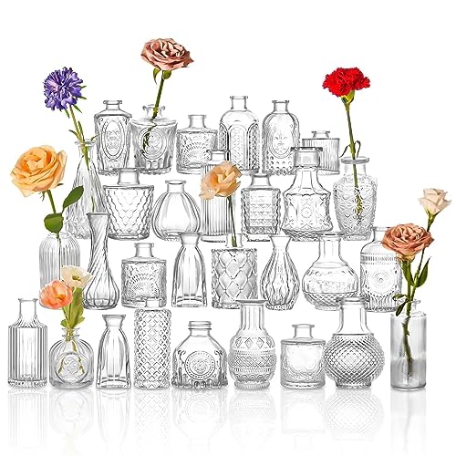 HOXHA Glass Bud Vase Set
