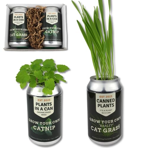 Indoor Catnip & Cat Grass Garden Kit