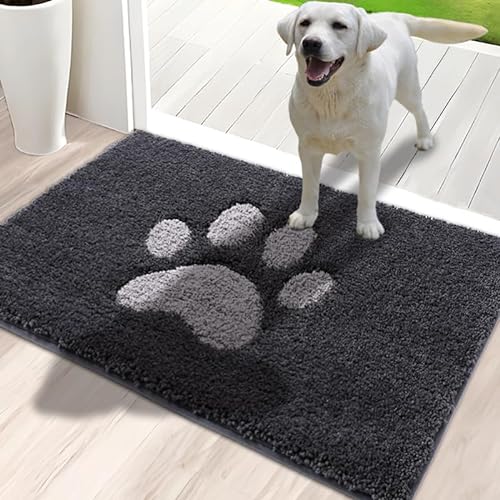 Indoor Door Mat for Muddy Paws