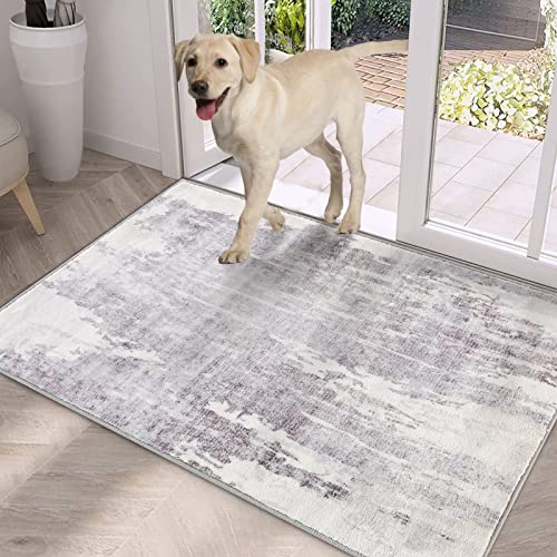 2'x3' Door Mat Modern Small Rug Indoor Front Doormat Non Slip Kitchen Rug  Contemporary Abstract Distressed Floor Mat Carpet Lightweight Foldable Mat  Entryway Living Room Doormat