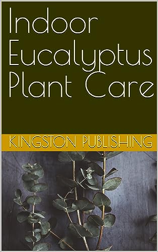 Indoor Eucalyptus Plant Care