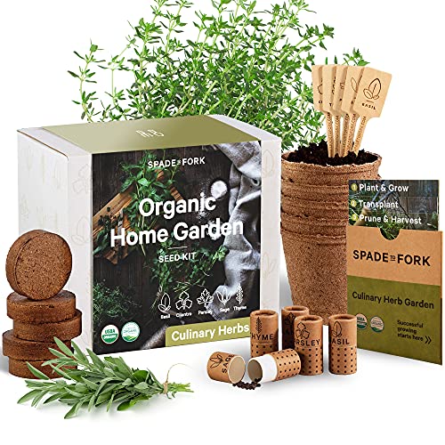 Indoor Organic Herb Garden Kit