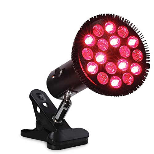 InfraGlow Therapy Lamp - Infrared Red Light Therapy for Pain Relief, Skin Wellness, & Recovery