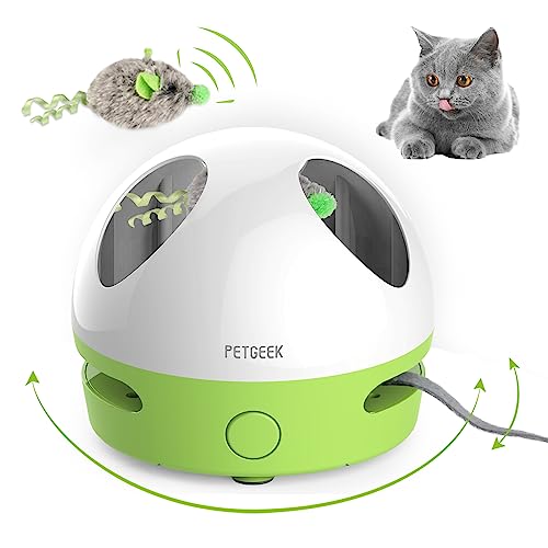 Interactive Cat Toy with Squeaky Mouse