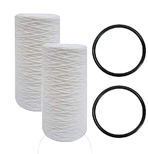 IPW Industries Inc. Sediment Filter & O-Ring - Pack of 2 Sets