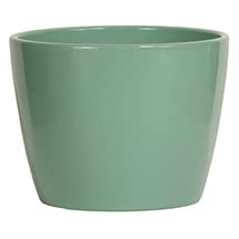Jade 7 Inch Indoor Decorative Ceramic Plant Pot