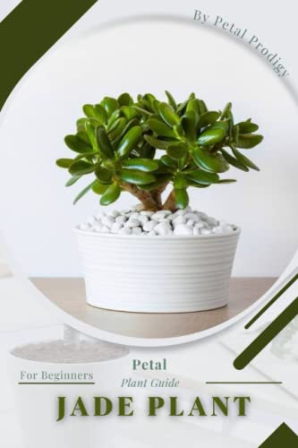 Jade Plant: Prodigy Petal, Plant Guide