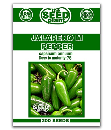 Jalapeno M Pepper Seeds - 200 Seeds Non-GMO