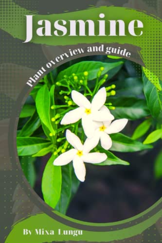 Jasmine: Plant overview and guide